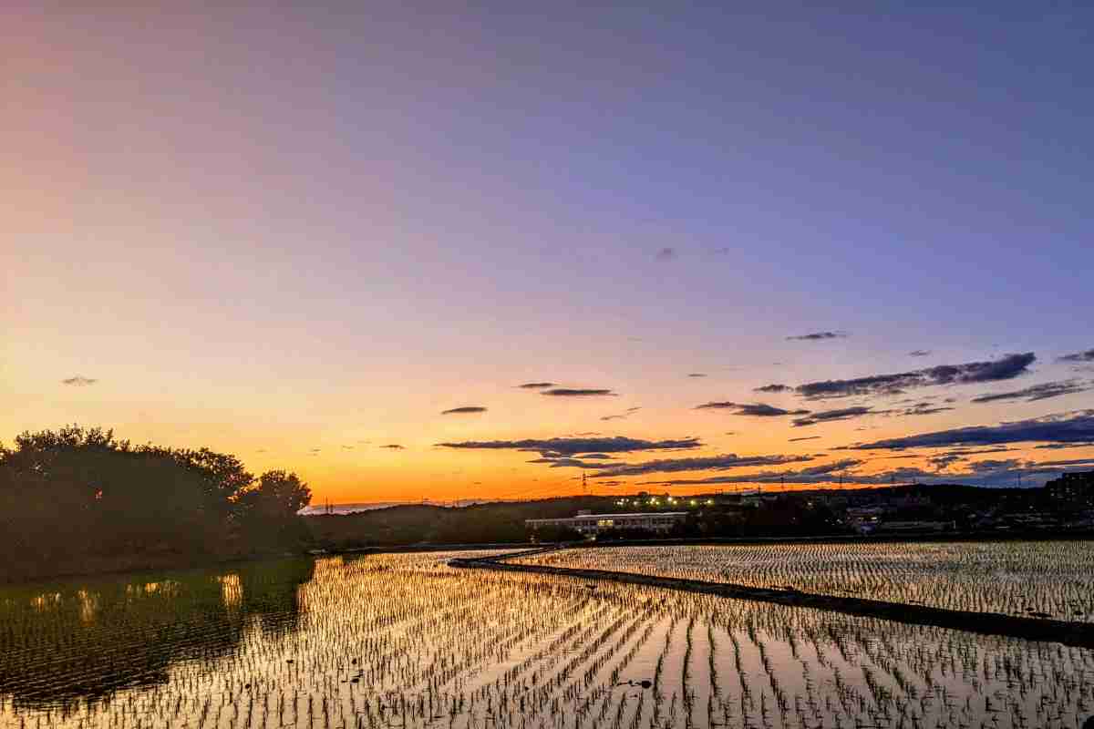 皆さんが撮った空の画像を見せて下さい