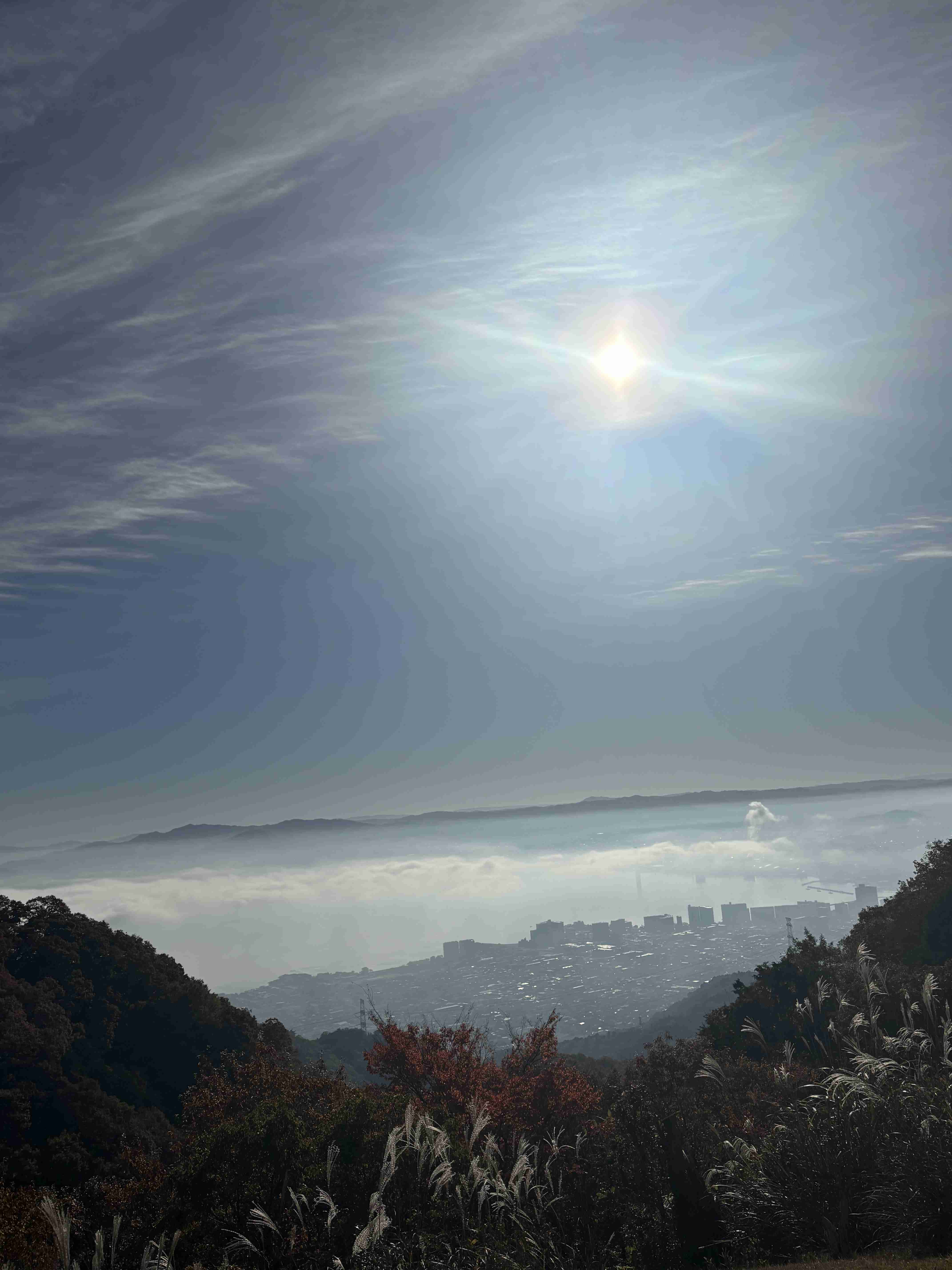 皆さんが撮った空の画像を見せて下さい