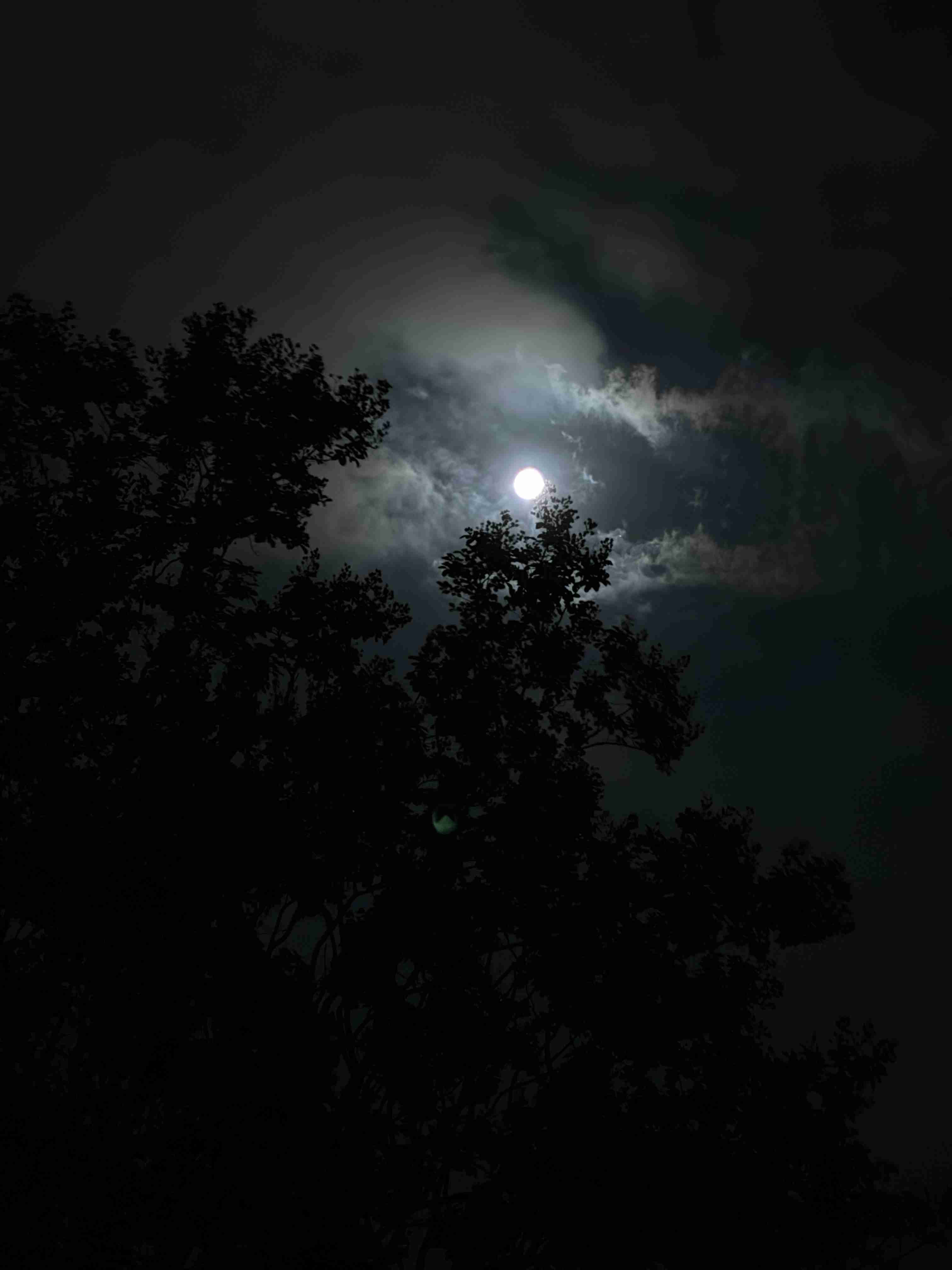 皆さんが撮った空の画像を見せて下さい