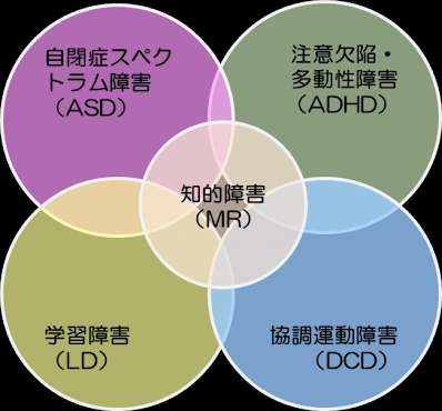 ASD傾向のライフハック、工夫part2