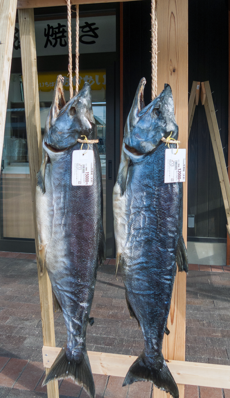 37歳ホラン千秋 初めて知った「新巻」 若者も読めず…40代以上は「読めますよ」