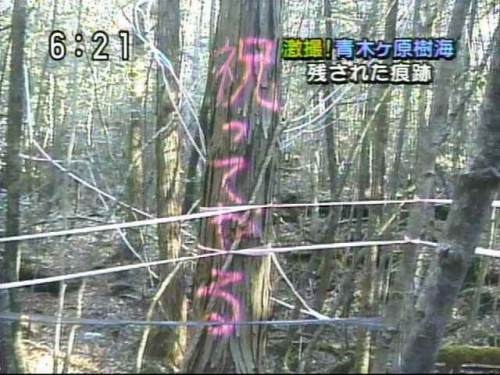 ややこしい画像