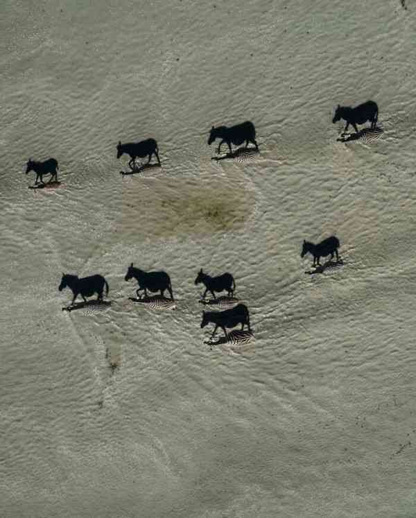 ややこしい画像