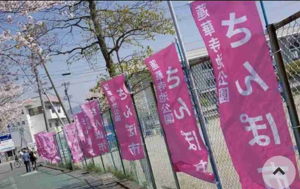 ややこしい画像