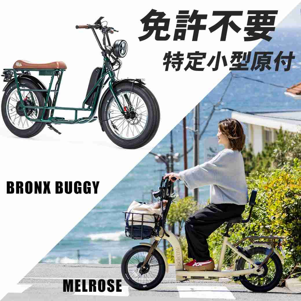 特定小型原動機付き自転車