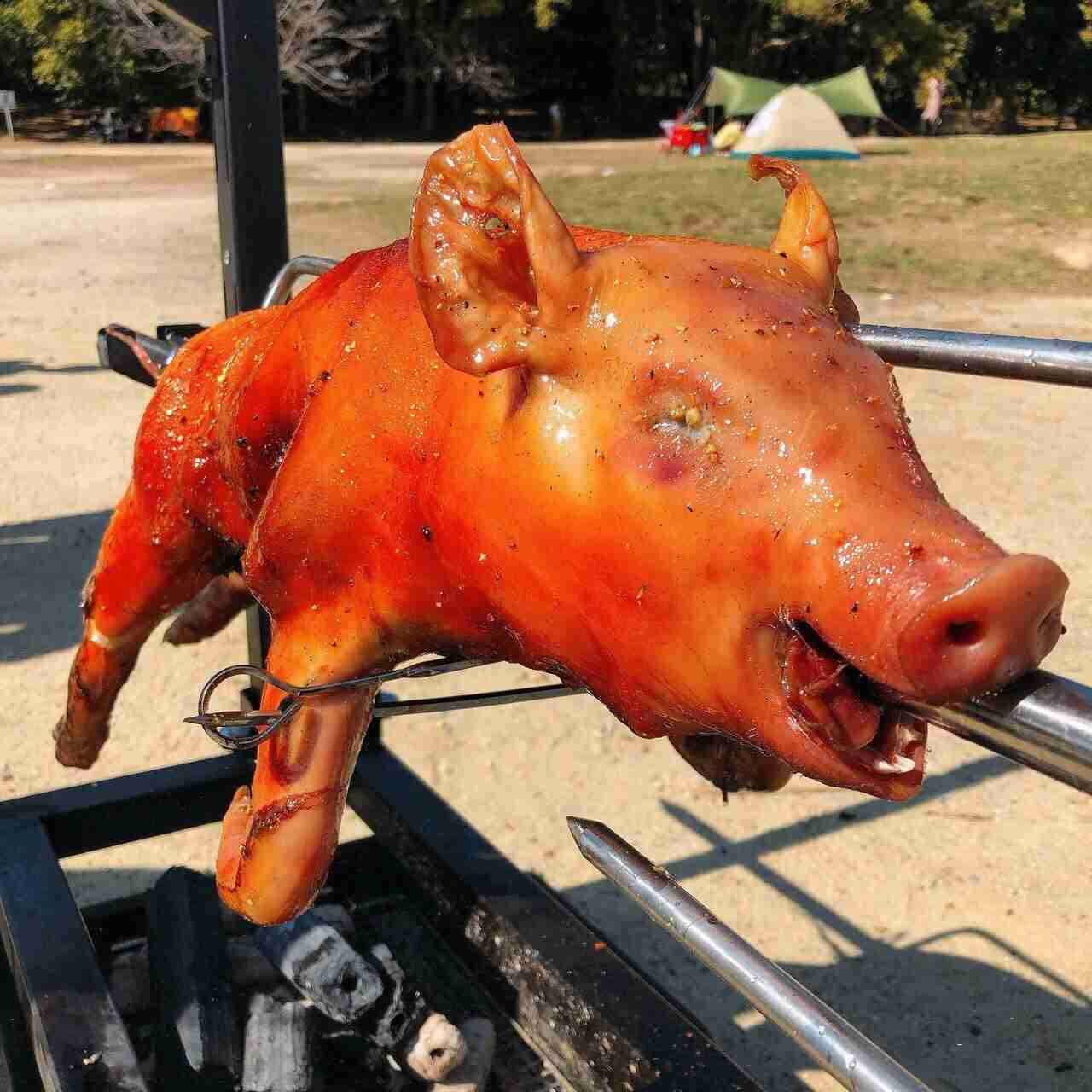 なぜか食べるのに抵抗あるもの