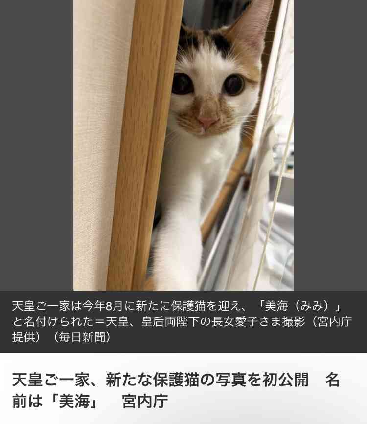 https://up.gc-img.net/post_img/2025/12/Ouw9Vx4kK3gAo1t_RnEx5_36040.jpeg