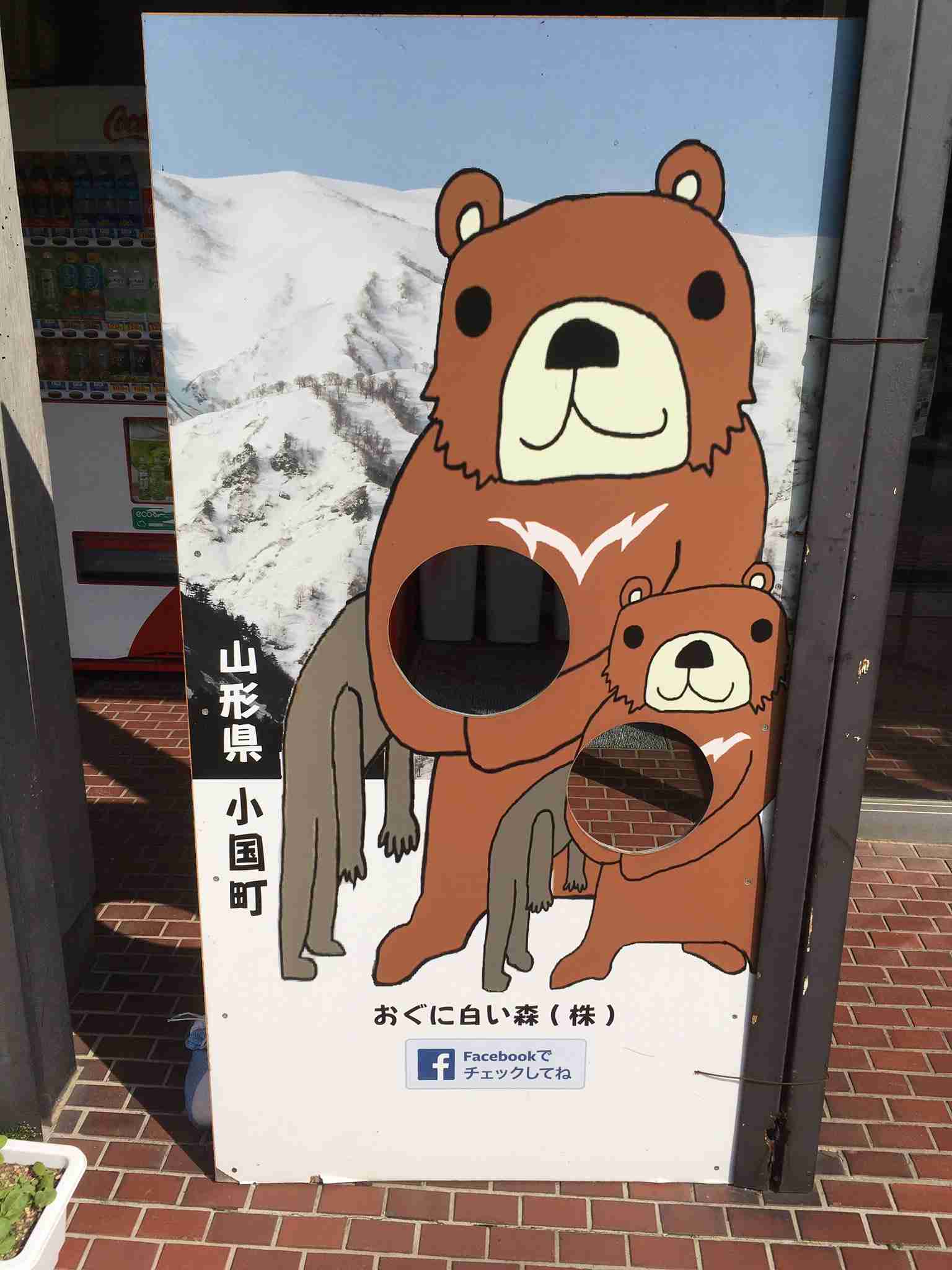 クマ駆除で誤射 小国町が男性を提訴へ　約1600万円を請求