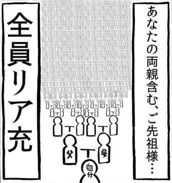 最近知った衝撃的なこと