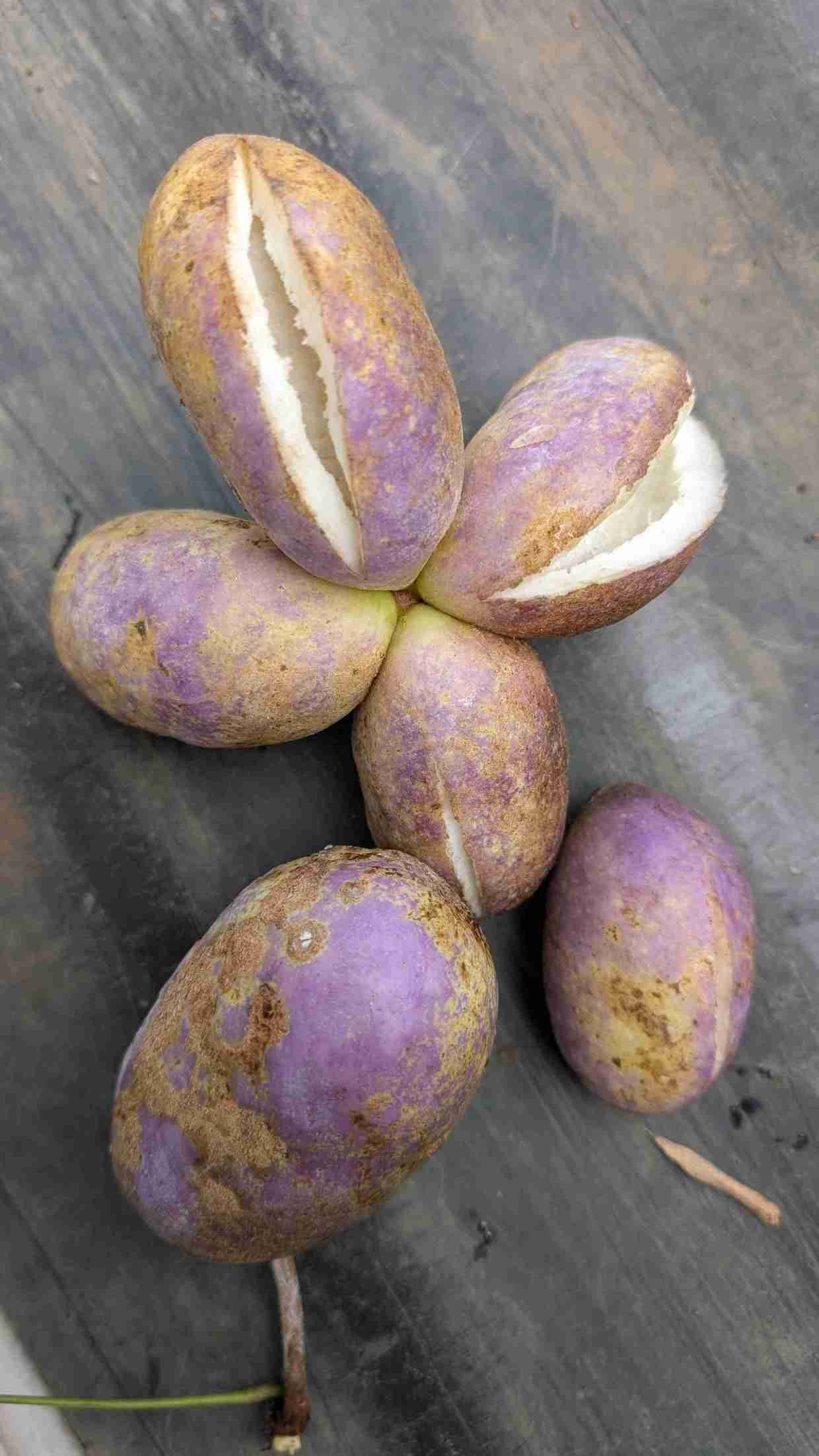 最近知った衝撃的なこと