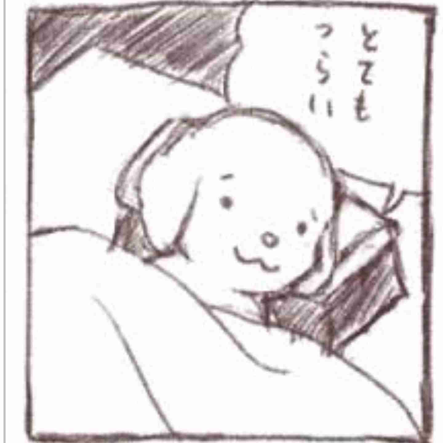 いま体調不良の人〜！