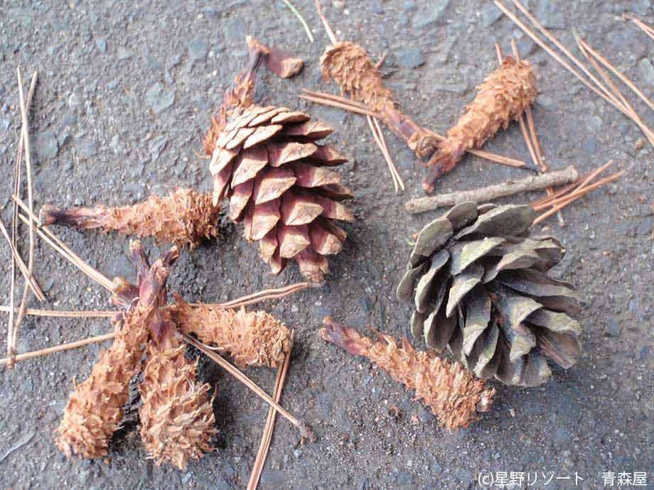 クリスマスケーキの代わりにするつもりのスイーツ