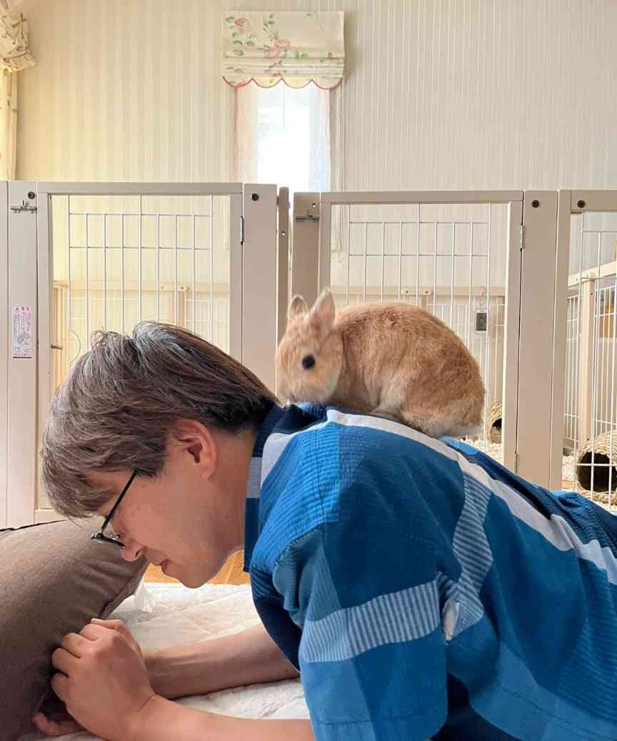 うさぎ飼ってる人！