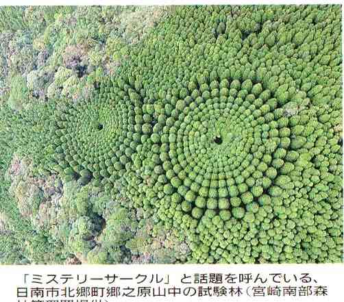 【閲覧注意】色んな集合体の画像を集めようPart6