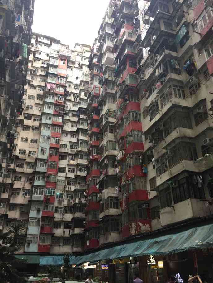 【閲覧注意】色んな集合体の画像を集めようPart6