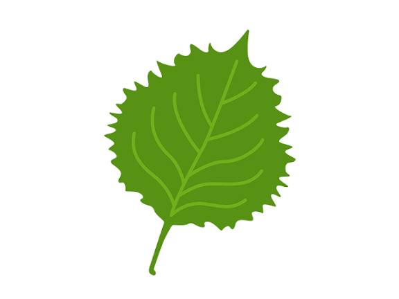 どっちの言い方してる？