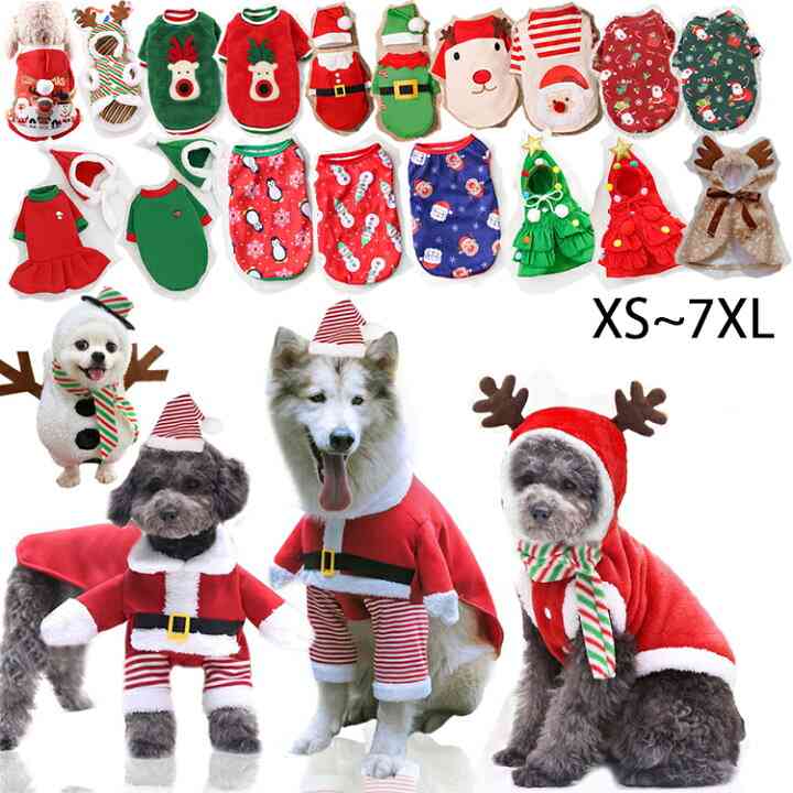 いざ！集え！アグリーセーター🎄を愛でる会！