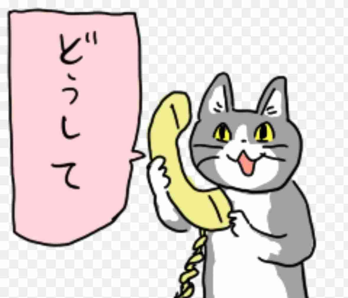 Fラン大学でも必要性はあるのではと思うこと