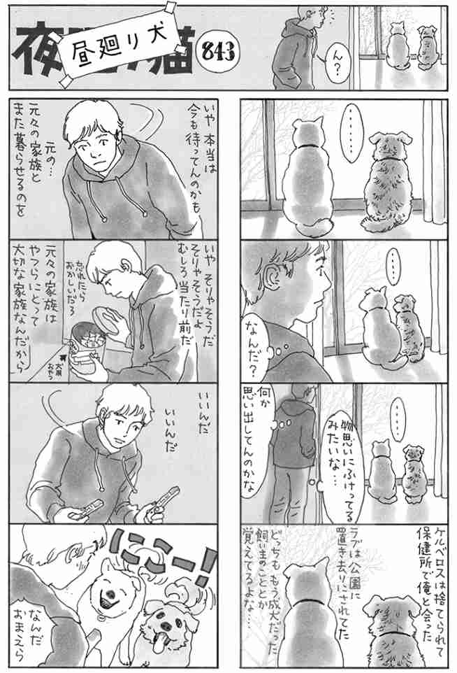 友人のペットを引き取ることになりそう