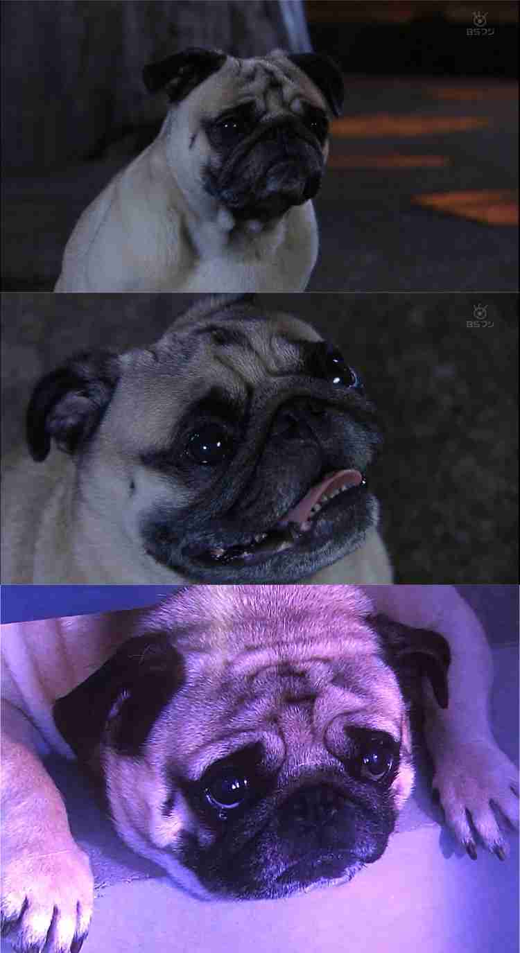 ドラマ「結婚できない男」を語りたい