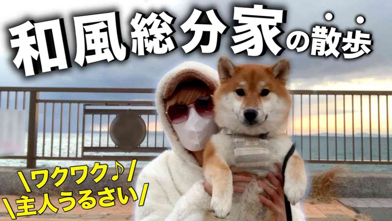 登録者161万人YouTuber、隣家と騒音トラブル 工事がいつまでも終わらず「もうマジでキレそう」