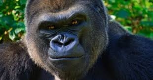 歌詞に使われてなさそうな言葉Part2