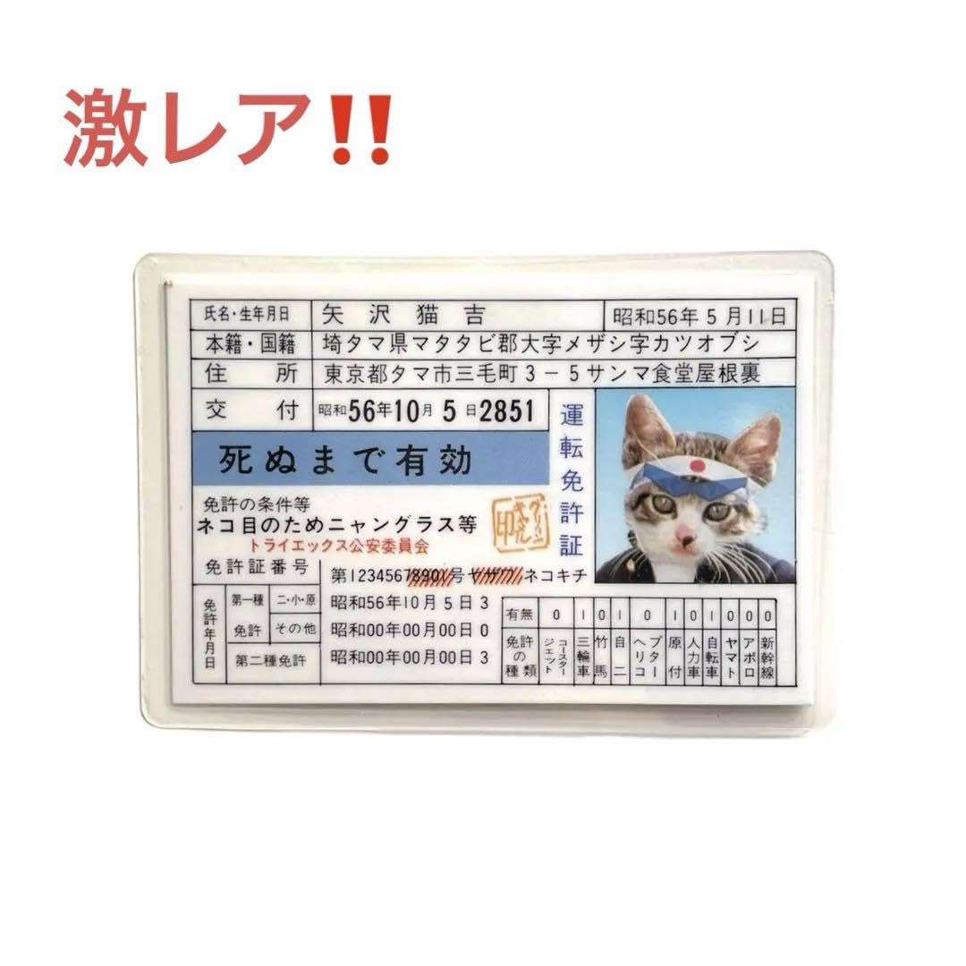 映画『免許返納!?』舘ひろしが現実そのままの銀幕スターに、“免許返納”を巡るドタバタコメディ