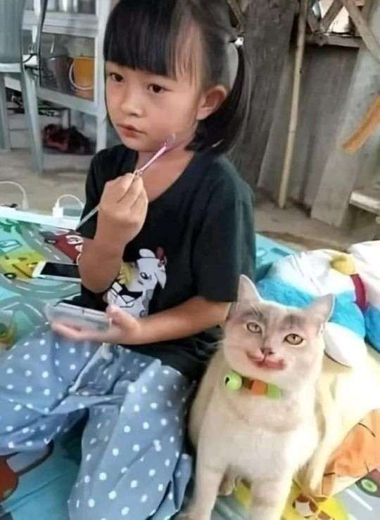 流行ってるけど合わなかったメイクアイテム