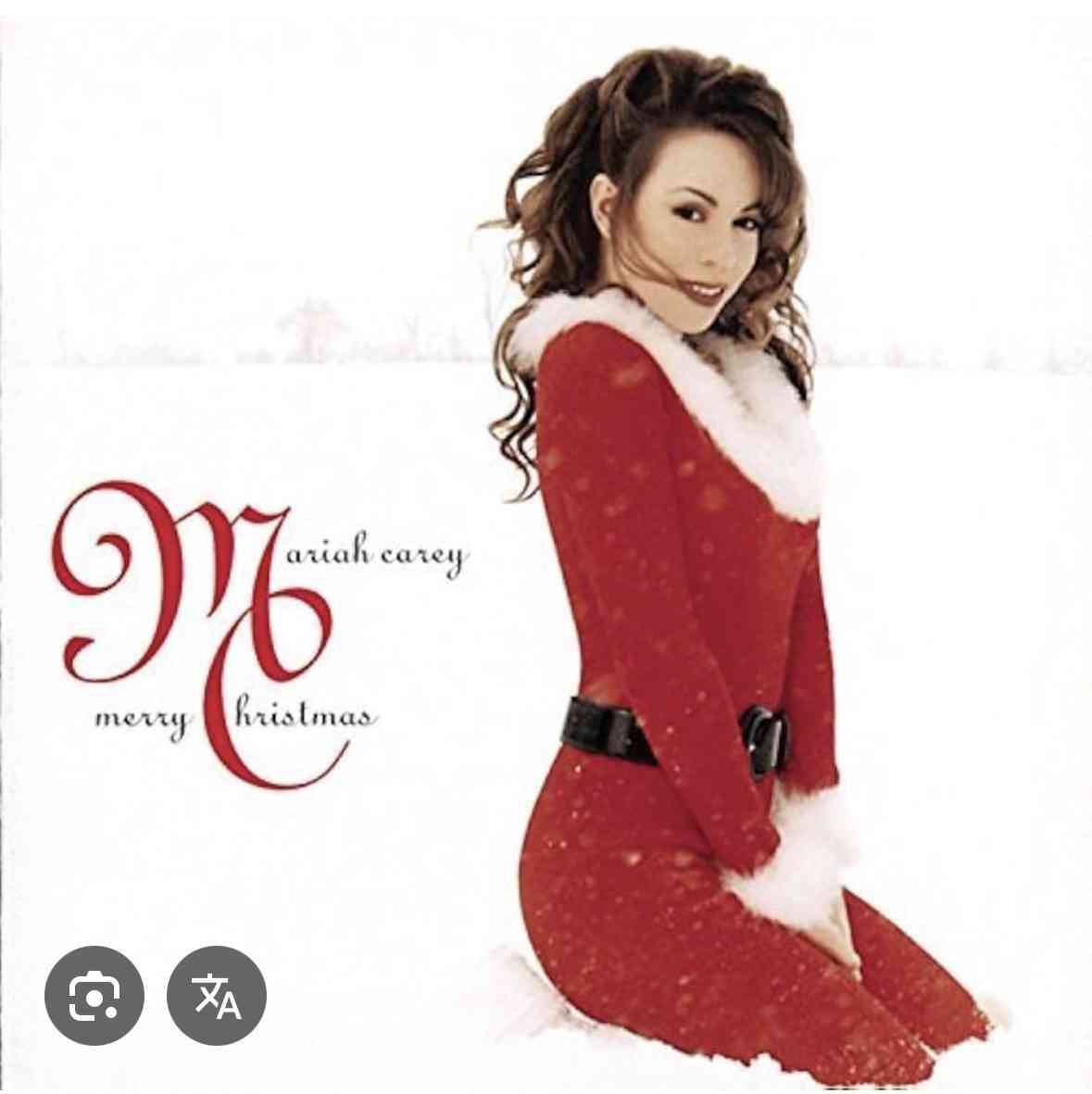 サンタ姿の芸能人が見たい