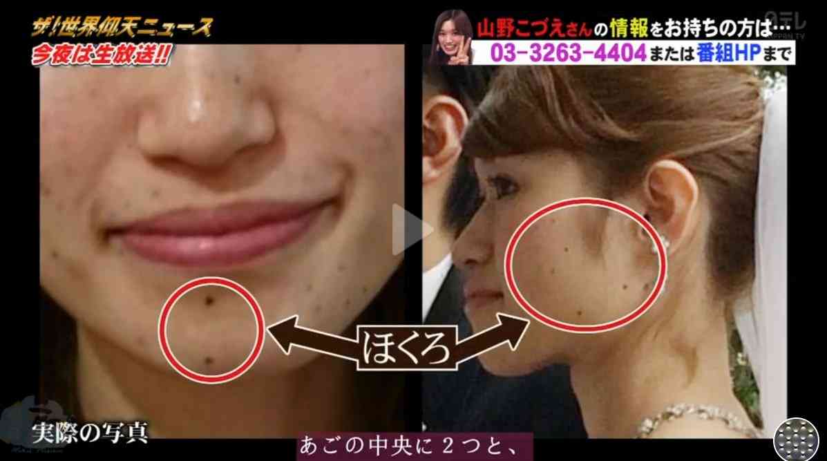 家族が稲刈りで外出中、生後2か月の娘を残し、こつ然と姿を消した…不可解で謎多き、群馬県東吾妻町の主婦失踪【未解決事件】