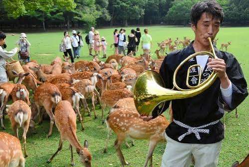 音大、美大あるある