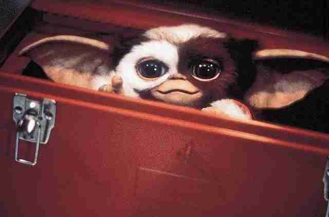 【実況・感想】金曜ロードショー「ホーム・アローン」