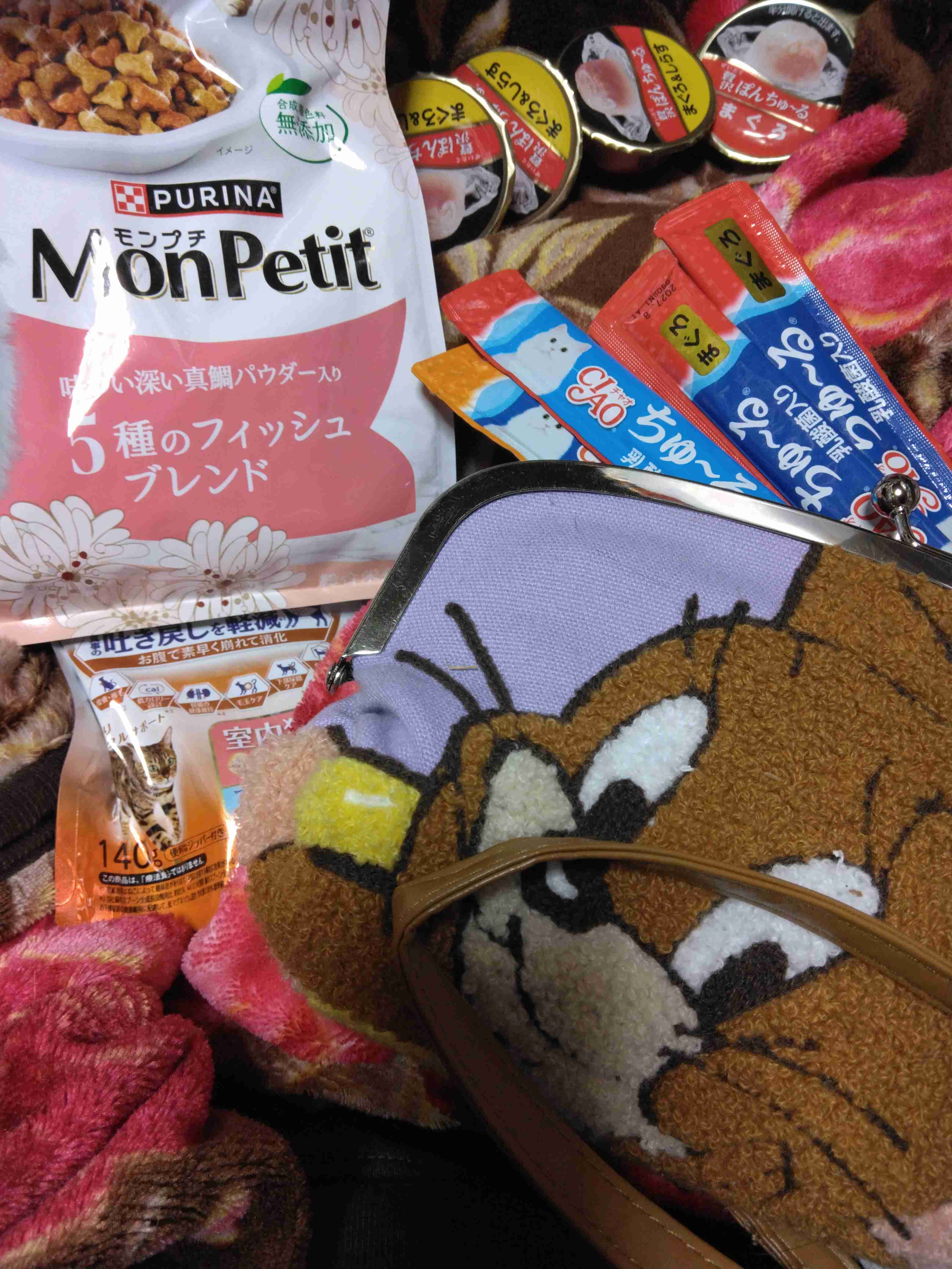 がるちゃん猫カフェ117号店開店しました♪(初めての方も大歓迎♪)