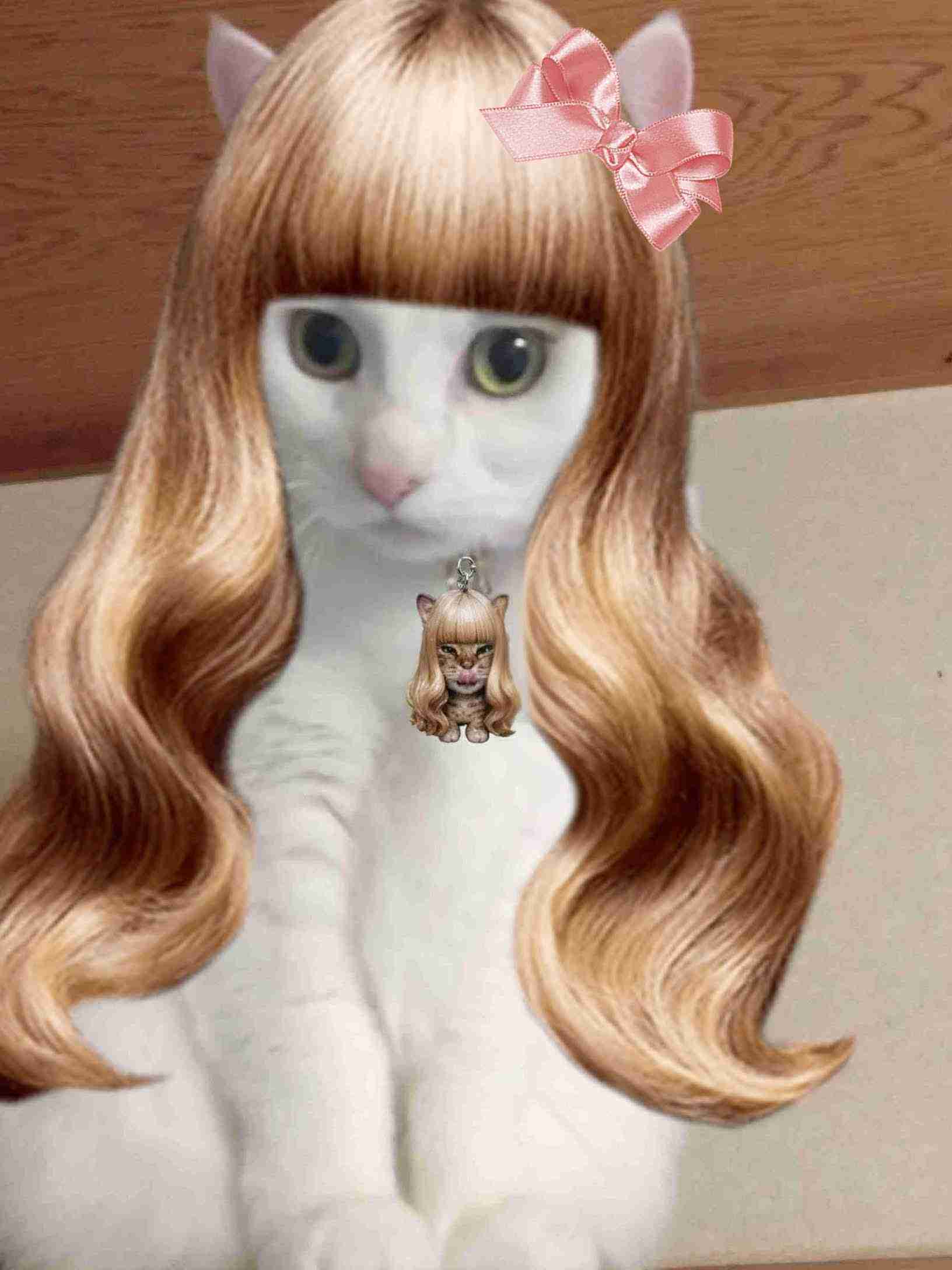 がるちゃん猫カフェ117号店開店しました♪(初めての方も大歓迎♪)
