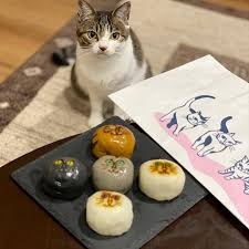 がるちゃん猫カフェ117号店開店しました♪(初めての方も大歓迎♪)
