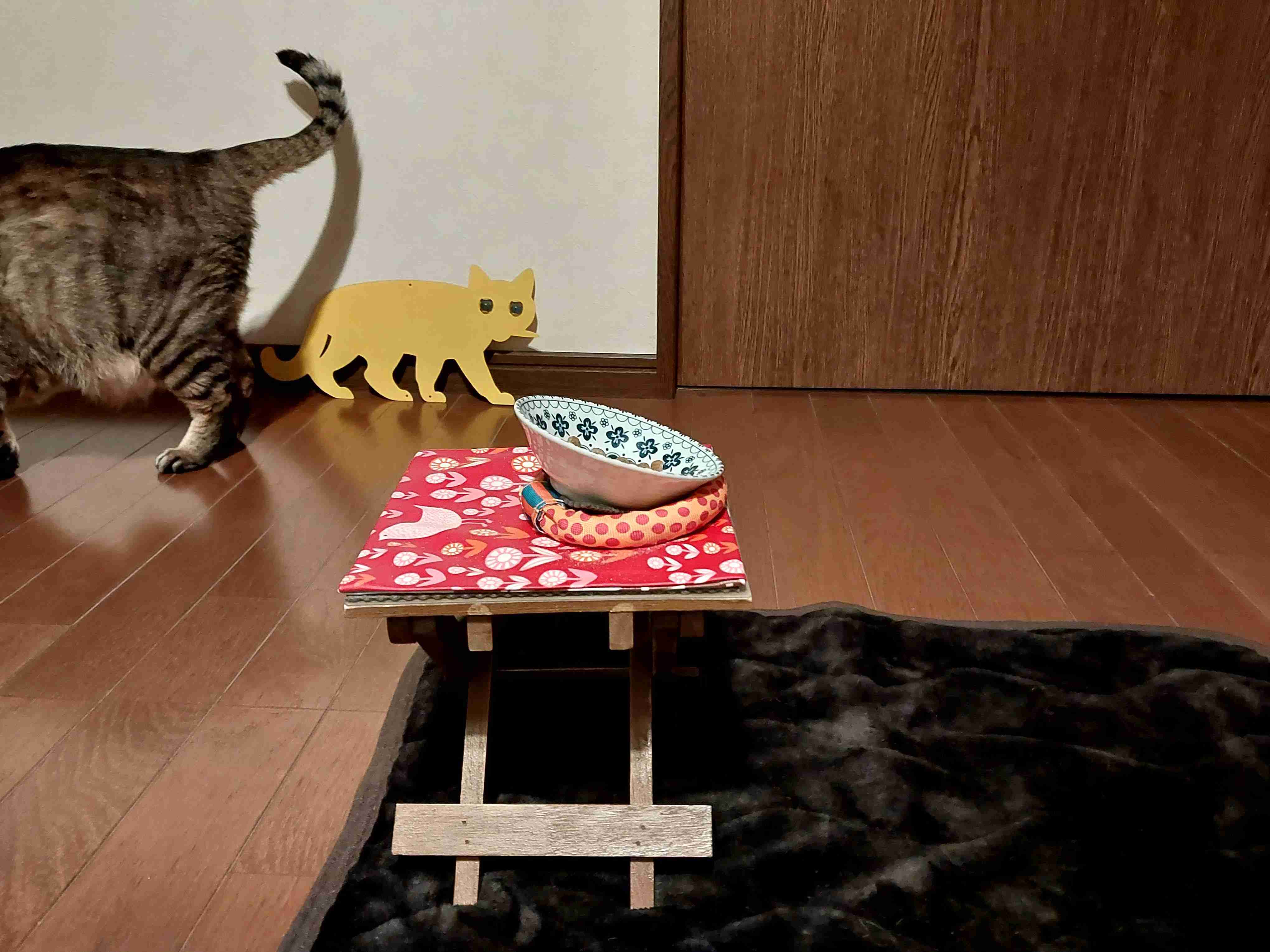 がるちゃん猫カフェ117号店開店しました♪(初めての方も大歓迎♪)