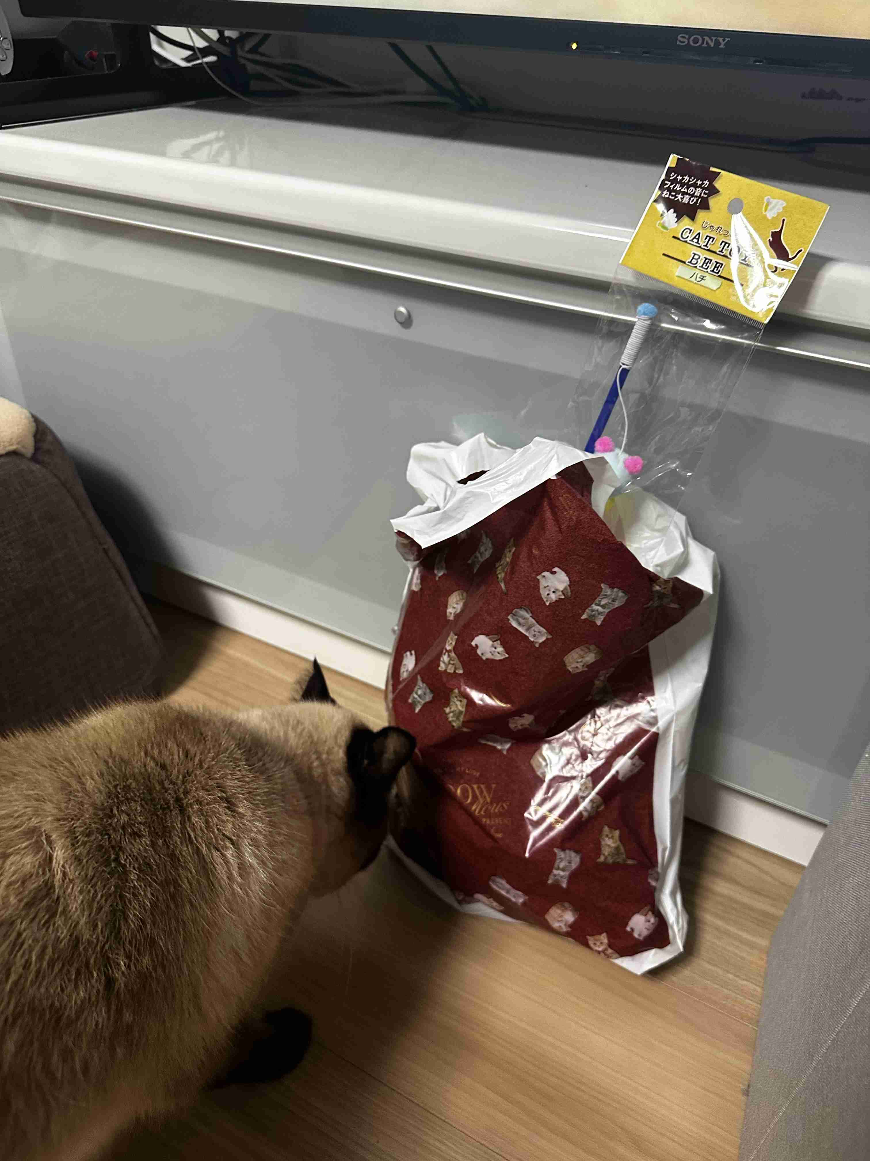 がるちゃん猫カフェ117号店開店しました♪(初めての方も大歓迎♪)