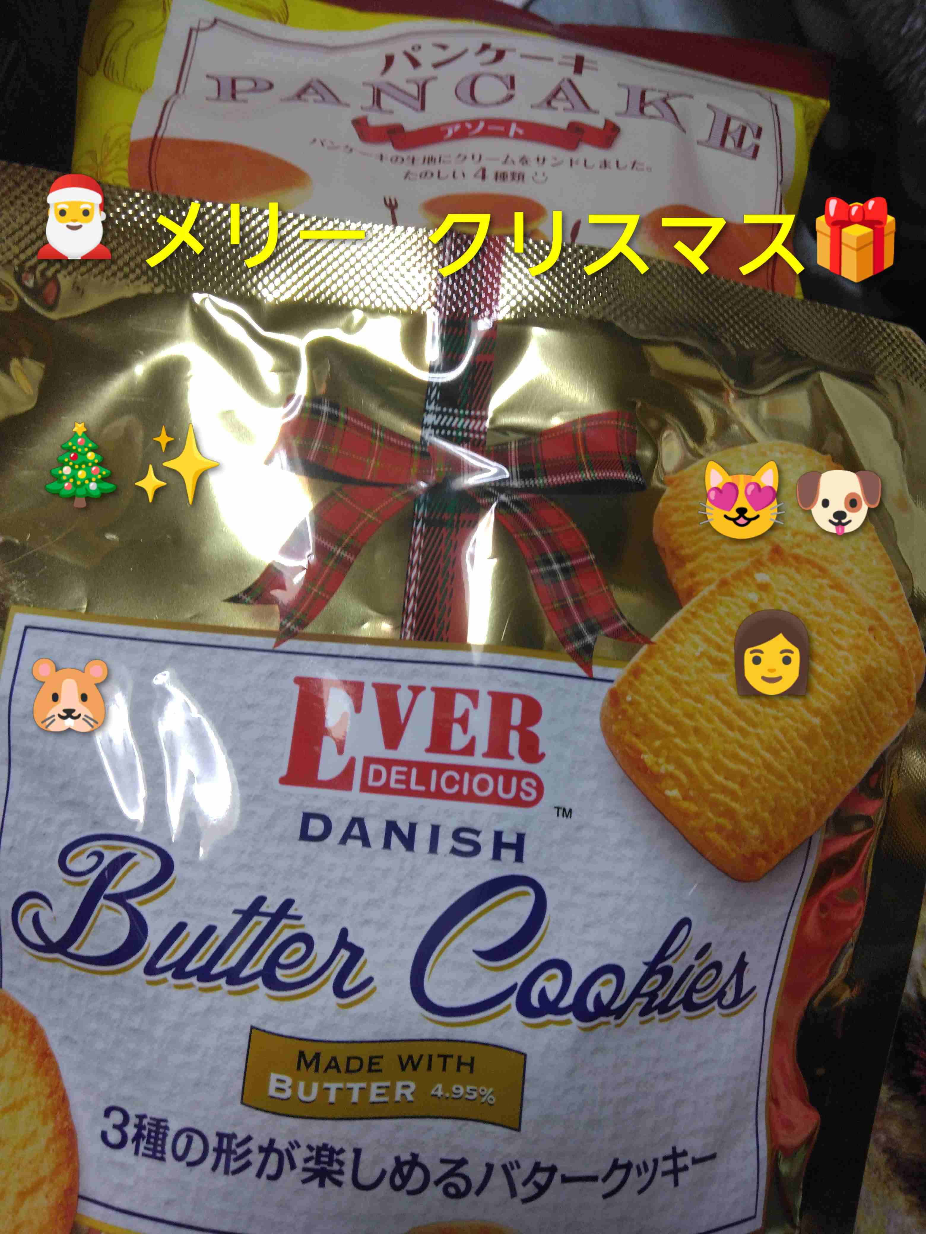 がるちゃん猫カフェ117号店開店しました♪(初めての方も大歓迎♪)