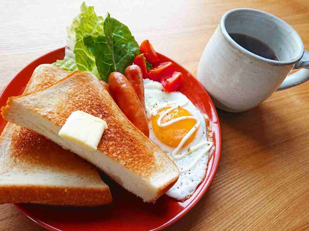 がるちゃん猫カフェ117号店開店しました♪(初めての方も大歓迎♪)