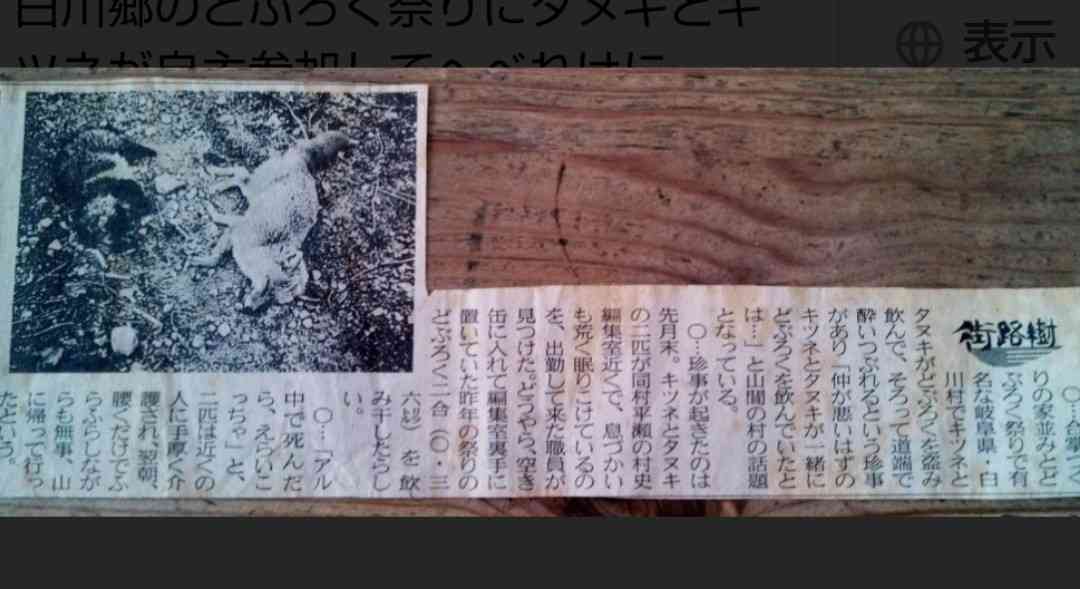 酒屋に侵入したアライグマが酒をガブ飲み。酔っぱらってトイレで行き倒れる