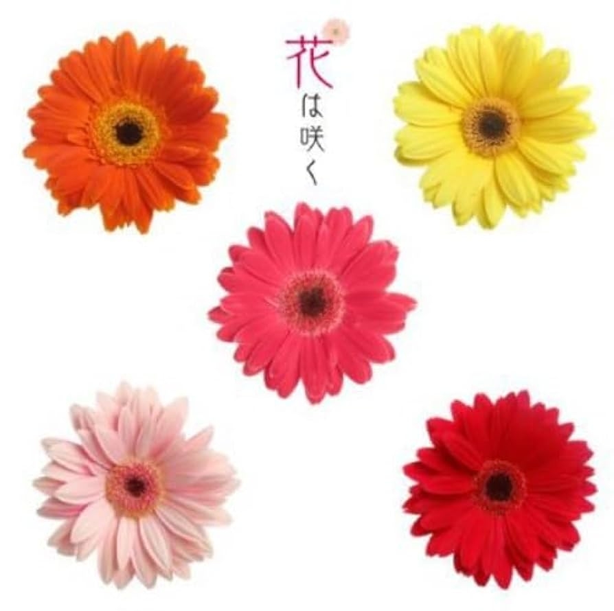 【津波注意報】北海道〜東北の太平洋側に発表 ただちに海岸から離れて