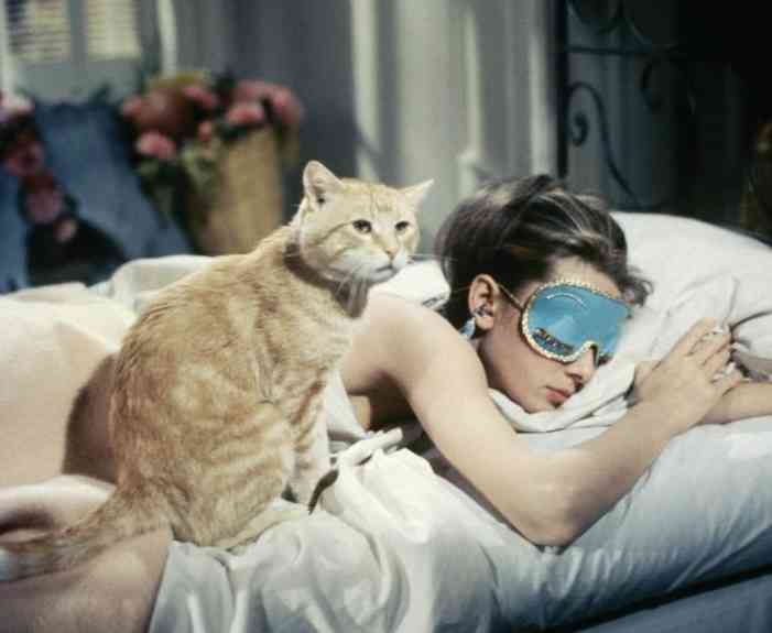 【画像】映画のワンシーンを貼ると観たことある人が作品名を当ててくれるトピPart22