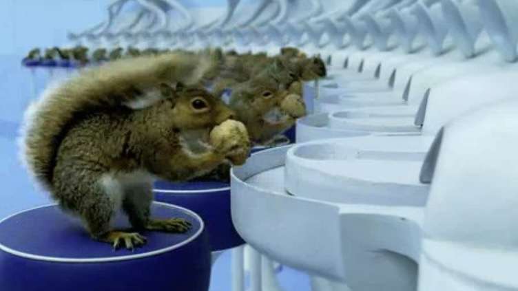 【画像】映画のワンシーンを貼ると観たことある人が作品名を当ててくれるトピPart22