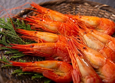 北海道のグルメを語り尽くそう