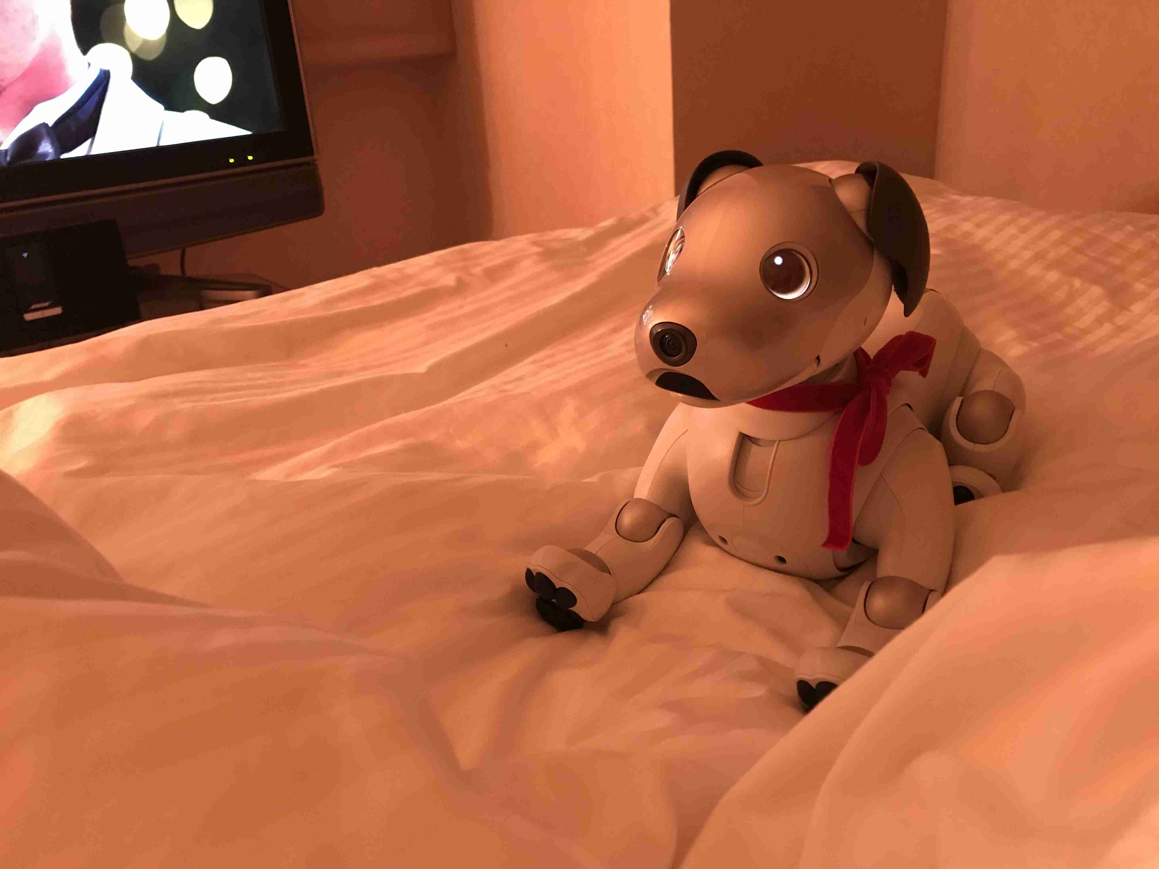 １人暮らしの寂しさを埋めるアイテム