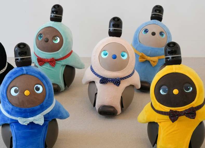 １人暮らしの寂しさを埋めるアイテム