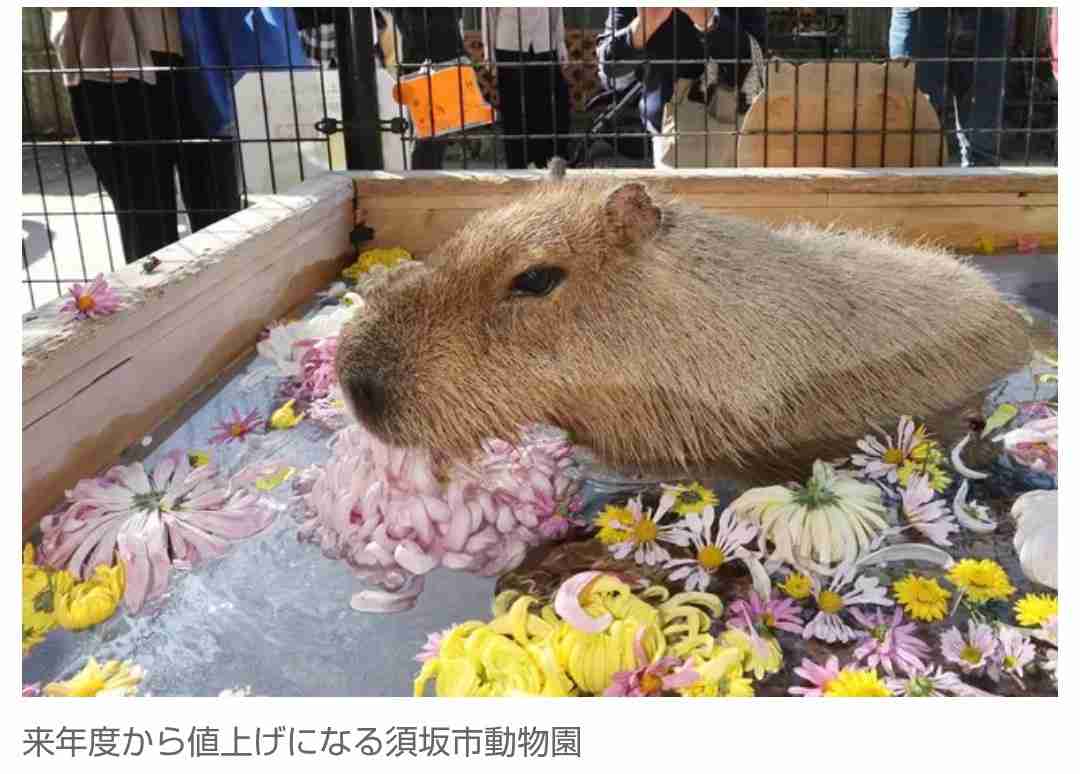 ふるさと納税で産地偽装が発覚した市の現実　動物園、ホール、体育施設…26施設で値上げへ　見込んだ収入がなくなり市民の生活に影を落とす