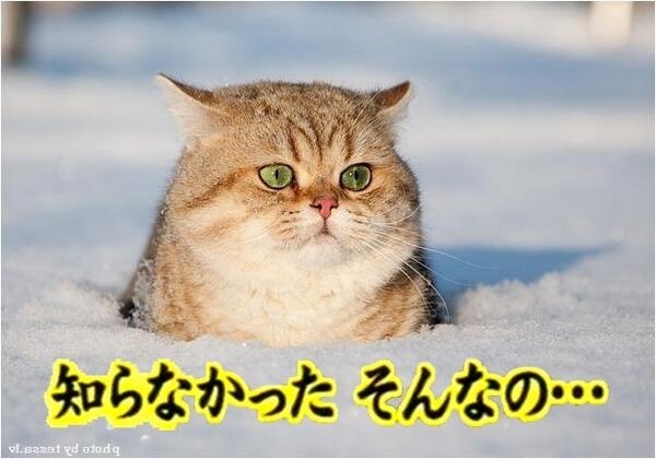 カセットボンベを使いたい