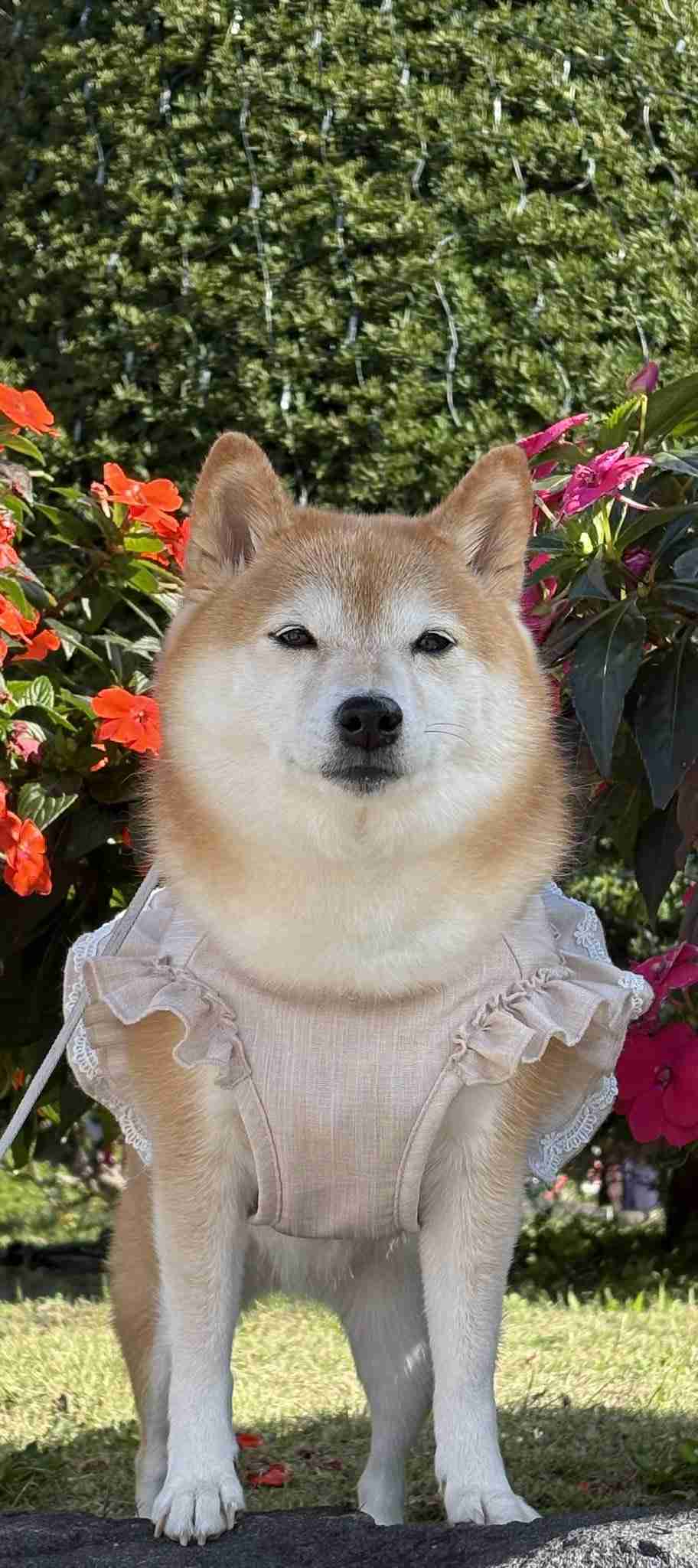 週末（休日）、シャキッとする方法