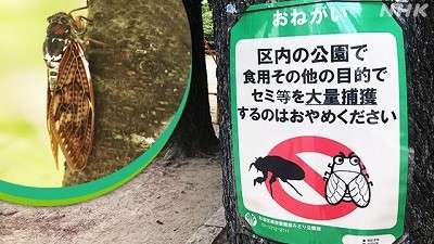 食べる量が多い旦那/彼氏